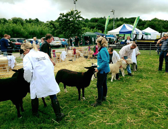 Agricultural Shows