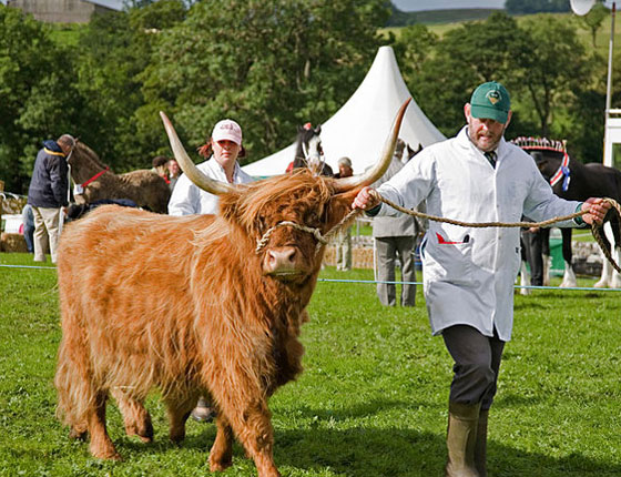 Agricultural Shows