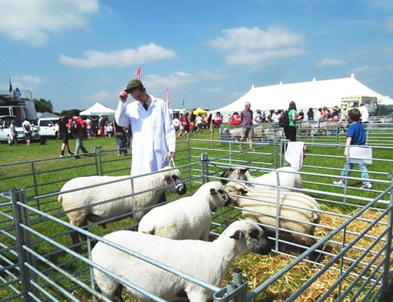 Agricultural Shows